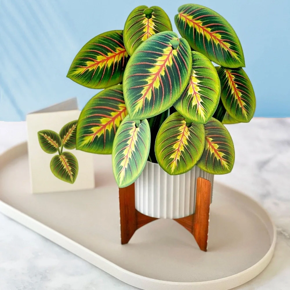New 4 pc Life Sized‎ Paper House Plants 3D Cards